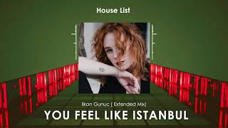 ilkan Gunuc - You Feel Like Istanbul (Extended Mix) |Houselist. Resimi