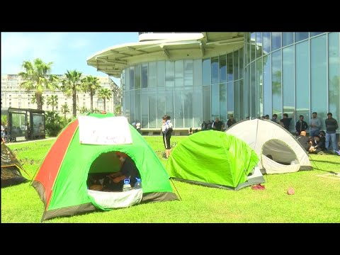 საპროტესტო აქცია და შიმშლობა ლავასოღლის ექსტრადირების მოთხოვნით