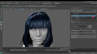 Interactive Grooming Workflow