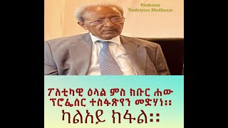 ፖለቲካዊ ዕላል ምስ ክቡር ሐው ፕሮፌሰር ተስፋጽየን መድሃነ:: ካልአይ ክፋል::  Part 2 Professor Tesfatsion Medhanie.