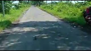 VLOG‼️JALAN JALAN MENUJU PELABUHAN PROBOLINGGO