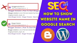 How to show website name in Google search | Website schema | Sitelinks search box