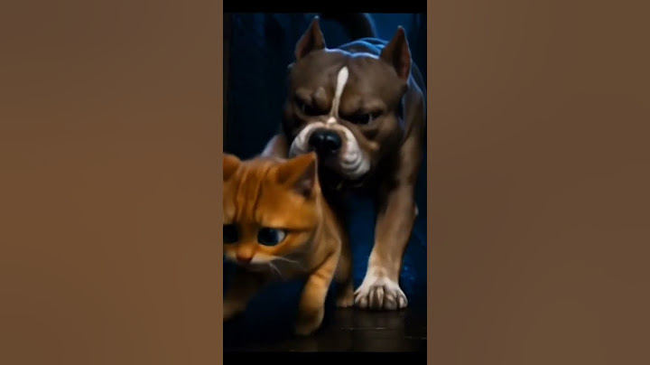 A cute kitty bursts into tears as a fierce Pitbull chases it down 😭 #cat #shortvideo  #viral
