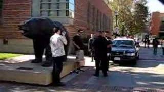 Man on Bear at UCLA
