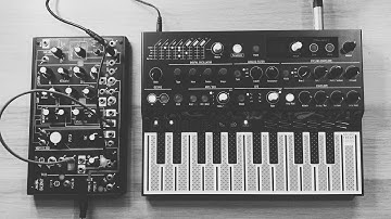 (N)EVER EVOLVING DRONES || chelidon frame