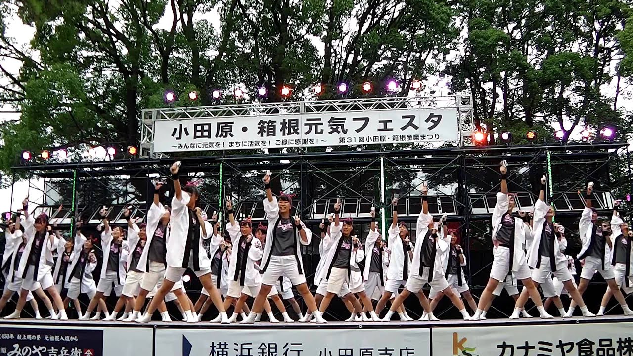 平塚学園高校チアリーディング部さん　小田原えっさホイおどり2012