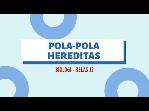 POLA-POLA HEREDITAS: BIOLOGI 12 SMA