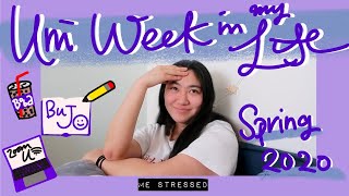 #VLOG: University Student Week In My Life; Online School Version @ FLA Sophia University / 上智大学