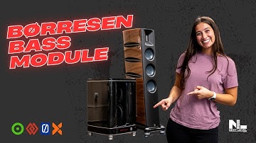 Børresen Bass Module Launch Event at Next Level HiFi