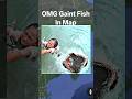 🤯🧐I Found Gaint Fish In Google Earth 🌎#shorts #reels #trending #viral #googleearth #map #funny
