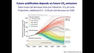 Science, Industry, Management: Perception of Ocean Acidification and Fisheries in the Carolinas
