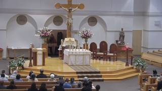 7 PM Tuesday Spanish Mass/Martes - Misa en Español 7 PM Tuesday Spanish Mass/Martes - Misa en Español