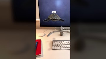 Viewing a Sketchfab model in iOS Quick Look AR