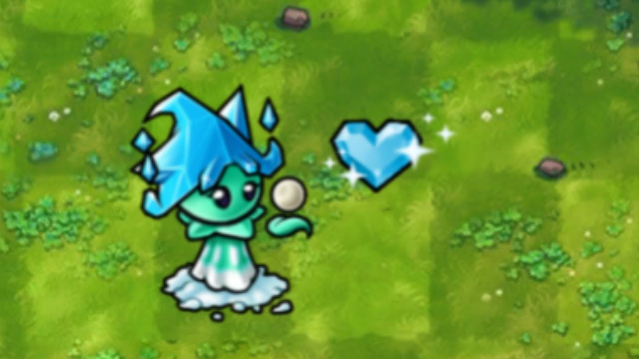 A Frost Sage Mistletoe Plant