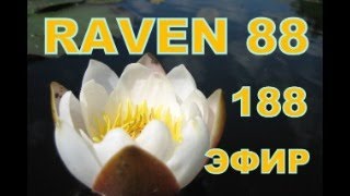 RAVEN 88 ЭФИР 188