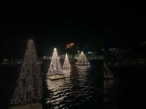Άναψαν τα Χριστουγεννιάτικα Δέντρα μέσα στη θάλασσα στη Χαλκίδα