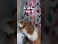 Relajación