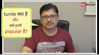 #1 Introduction to Turtle screenshot 2