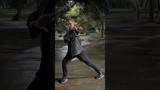 Choy Lee Fut Taolu in a street fight screenshot 2