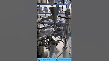 500g–2kg Nuts Packing Machine | Fast & Accurate Nut Packaging #machine #factory #packagingmachine