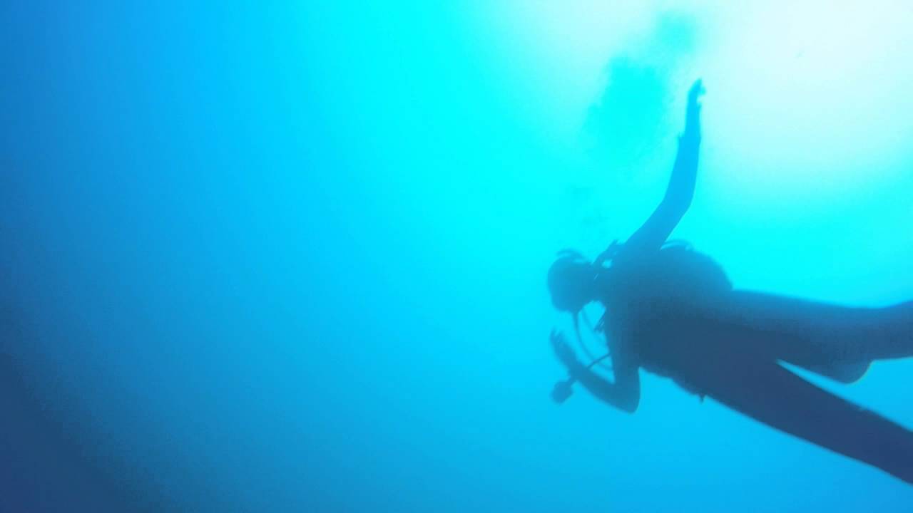 Diving, Tauranga New Zealand YouTube