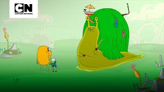 Atraindo Mulheres Hora De Aventura Cartoon Network