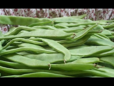 French Beans Recipe Vegetable Vegetarian Recipes Suriname Food-11-08-2015