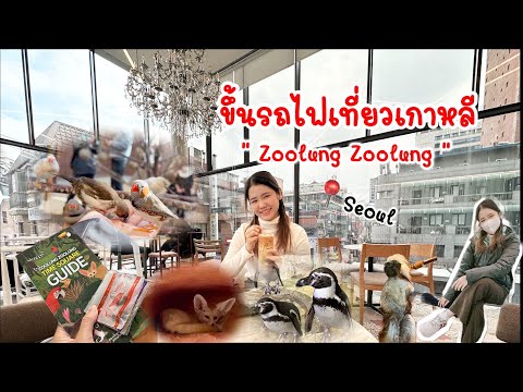 Zoolung Zoolung เที่ยวสวนสัตว์เกาหลีคนเดียว l Timesqure l Seoul, Korea l SomMikan