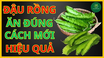 10 Lợi Ích Tuyệt Vời Của Đậu Rồng – Ăn Đúng Cách Hỗ Trợ 10 Căn Bệnh Thường Gặp! | Vườn Ươm Sức Khỏe