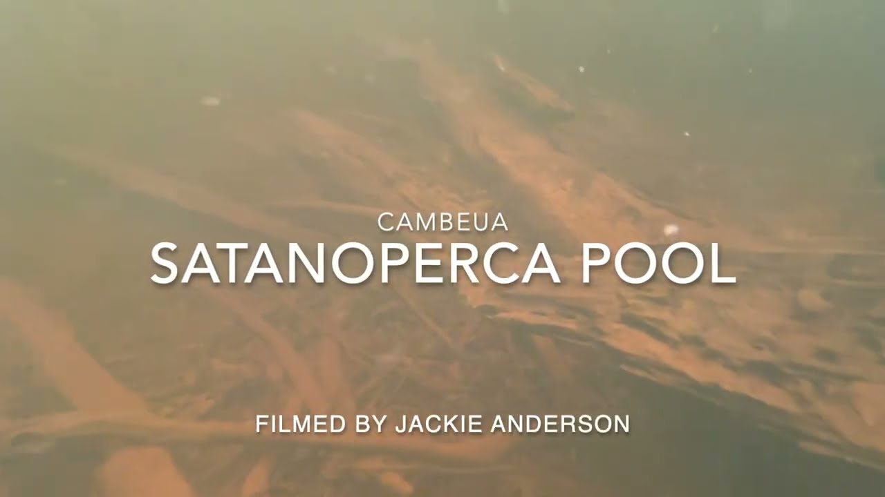 Satanoperca Pool