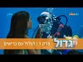 אני גדול 3: פרק 1 | לצלול עם כרישים 🦈 | ניק ג'וניור