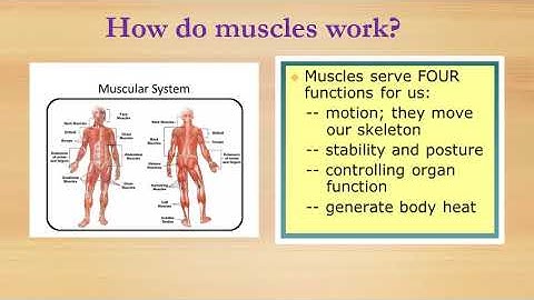 CBSE SCIENCE  Class-5  Chapter-9 OUR SKELETAL SYSTEM (part-2)