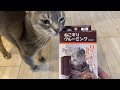 猫のグルーミングライフを快適に・・【ねこすりグルーミング】