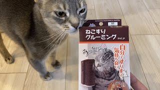 猫のグルーミングライフを快適に・・【ねこすりグルーミング】