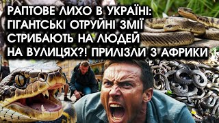 Раптове ЛИХО в Україні: гігантські ОТРУЙНІ ЗМІЇ стрибають НА ЛЮДЕЙ на вулицях?! Прилізли З АФРИКИ