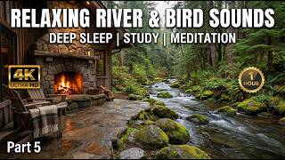 Relaxing River, Bird &amp; Fireplace Sounds Part 5 1 HOUR Nature Sounds for Sleep &amp; Study 4K