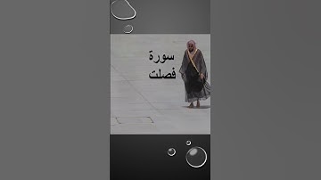 Sheikh Shuraim Sura Fussilat سورة فصلت الشيخ سعود الشريم V 43-45