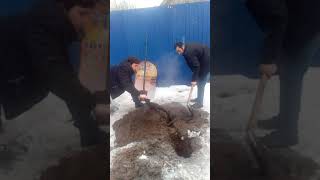 Тандир