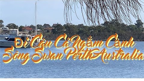 Đi Câu Cá Ngắm Cảnh Sông Swan Perth Australia