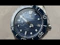 Grand Seiko Evolution 9 Spring Drive Diver (SLGA023) Grand Seiko Watch Review