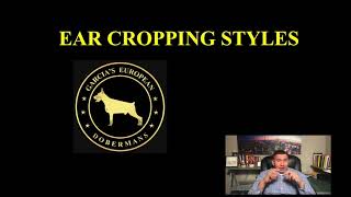 Ear Cropping Styles For European Dobermans