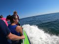 destin boat ride. dolphins jumping