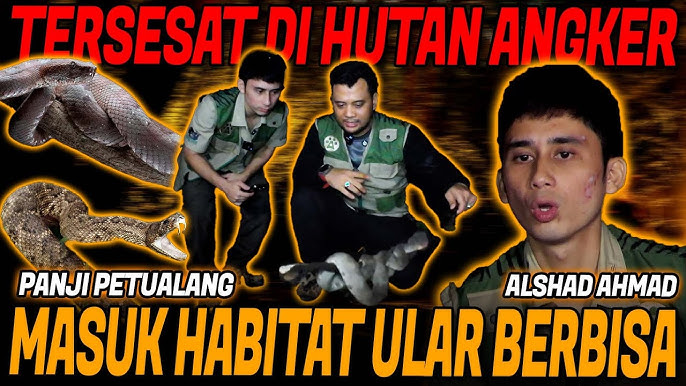 Ular bizni mast qilishdi va bizni davra ichida tomosha qilishimizga ruxsat berishdi Ular bizni mast qilishdi va bizni davra ichida tomosha qilishimizga ruxsat berishdi