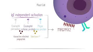 Hives vs. Itch: The Role of Type 2 Inflammation in Itch in Chronic Spontaneous Urticaria