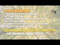 Здоровье печени за 3 минуты — не ленись, действуй!