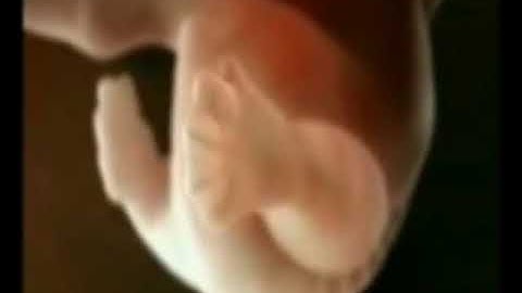 القارئ إلياس البكاري حفظه الله ورعاه