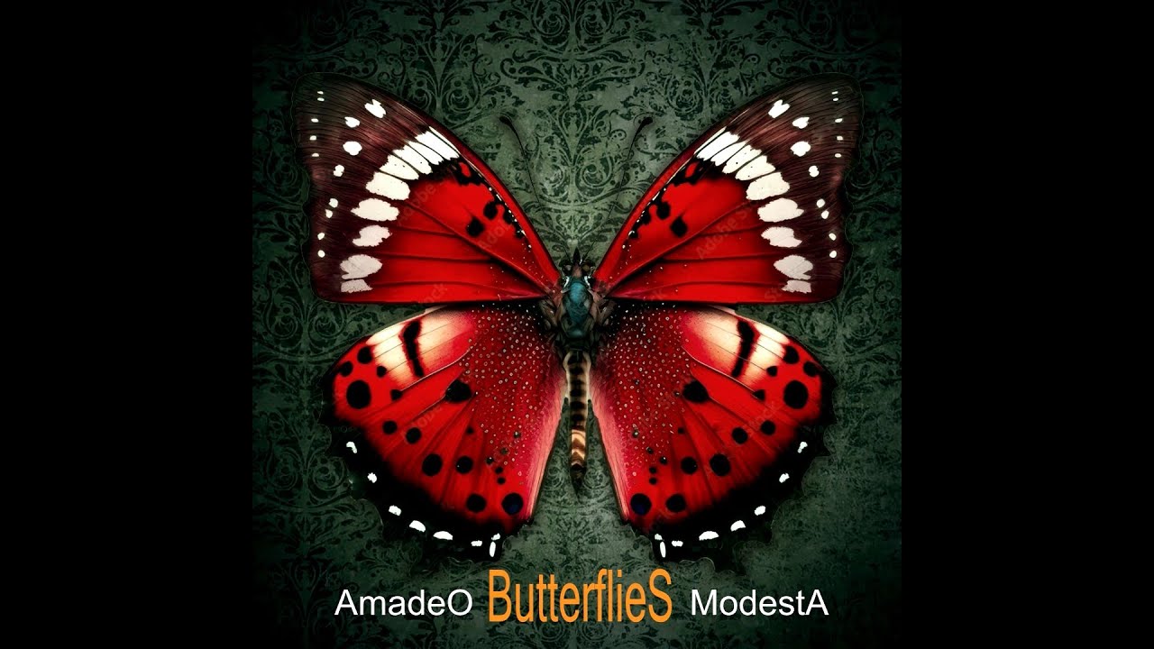 Butterflies (Duet Cover) YouTube