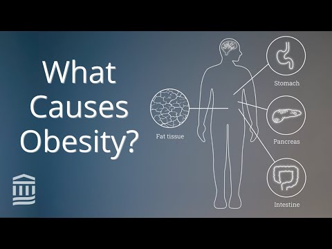 Video: Causes of primary and secondary obesity