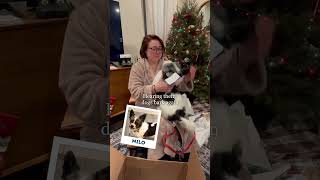 Hearing Their Dog Bark Again After They Ped Mypetsies