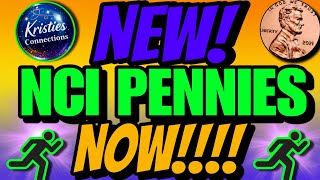 More Penniesmore Penniesdollar General Penny Shopping Lots More